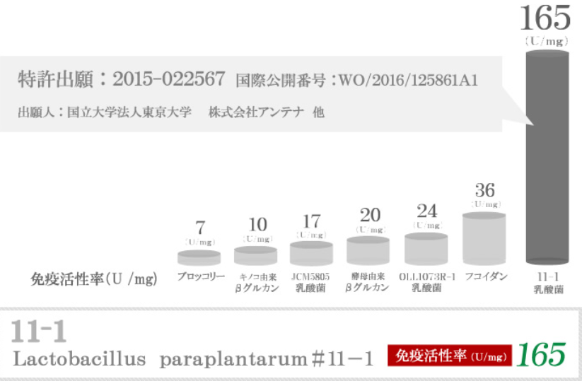 東京大学薬学部研発11-1乳酸菌