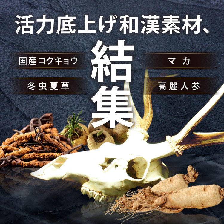 剛SUGI MAN