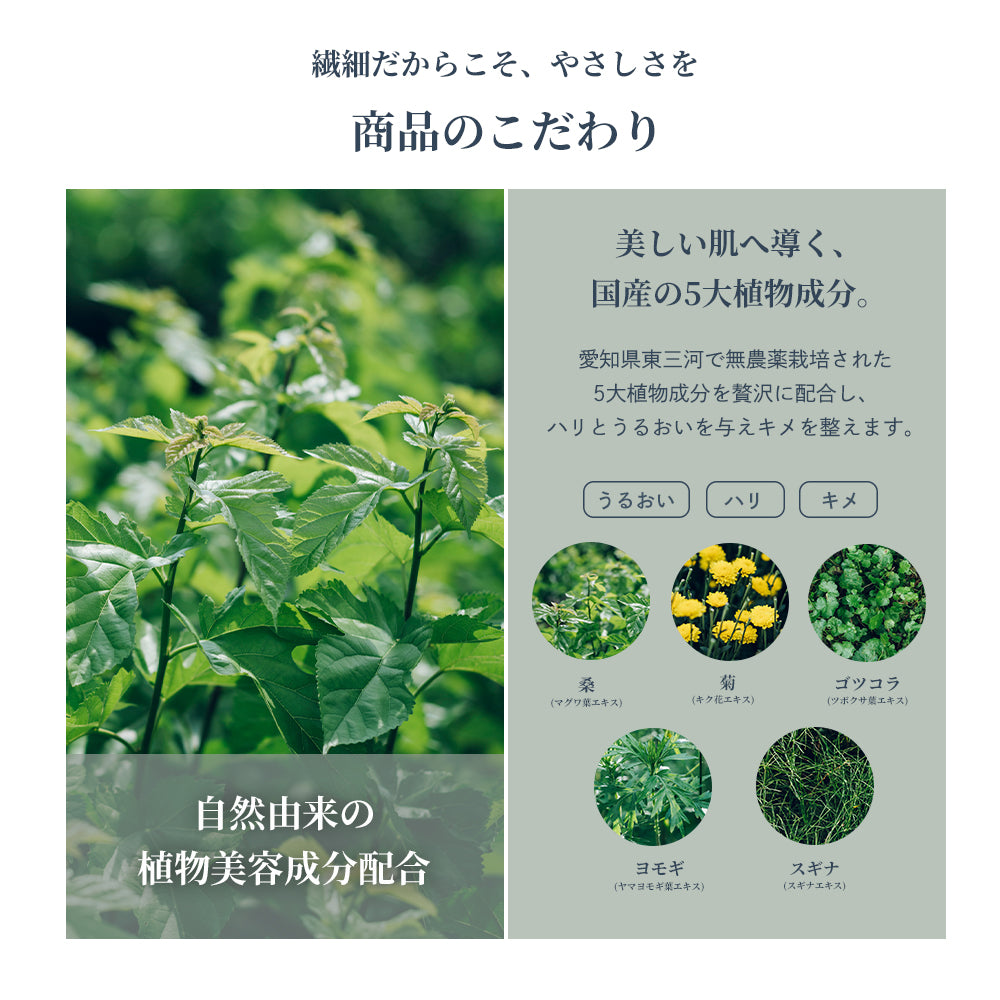 Waphyto ルブリカント 100g デリケートゾーン 保湿 保湿ジェル