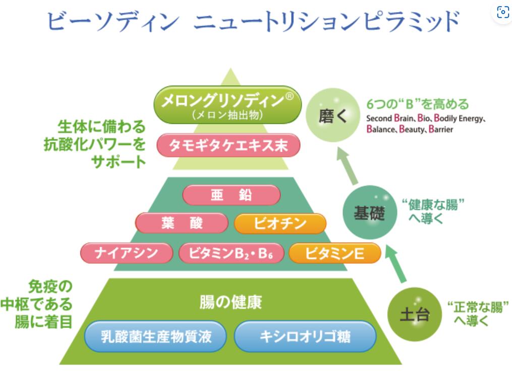 sptm セプテム ビーソディン 栄養機能食品 ビオチン・ビタミンE 60粒