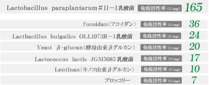 東京大学薬学部研発11-1乳酸菌