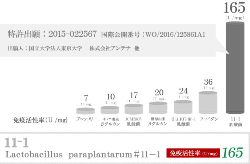 東京大学薬学部研発11-1乳酸菌 – 桜生活館