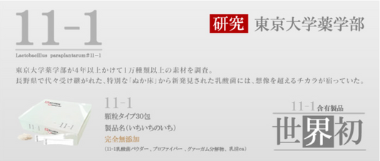 東京大学薬学部研発11-1乳酸菌